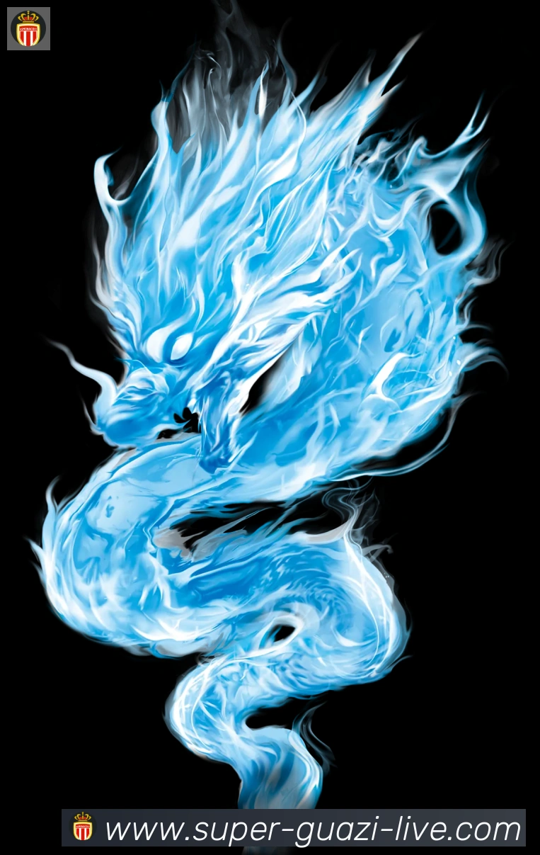 未来规划